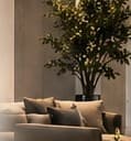 A calm, well-kept lounge looked after by Adam Homes